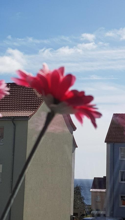 Apartment Deichkrone Sassnitz Eksteriør bilde